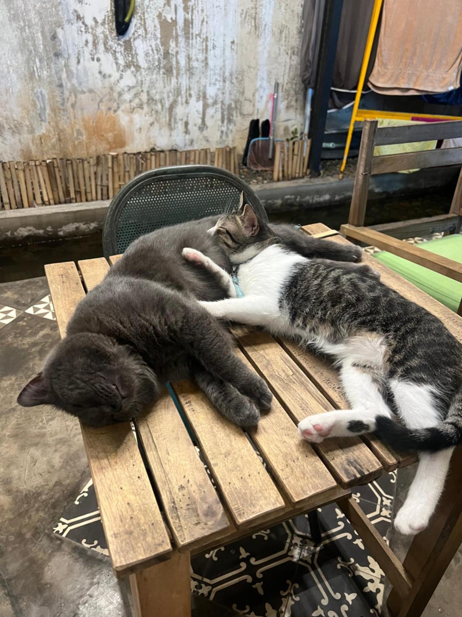 מלון Chi Khu Co Ong Uyen'S House מראה חיצוני תמונה